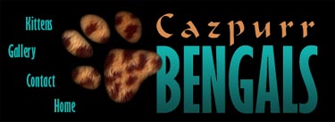 Cazpurr Bengals